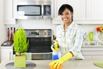 Removing Pet Smells From The Carpet