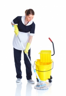 Steam Cleaning Throughout Your House